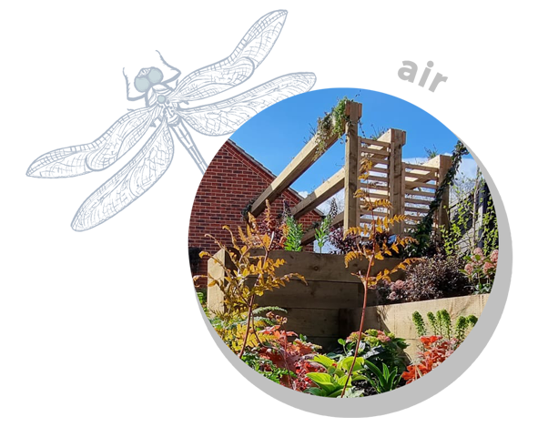 about-dragon-600×530