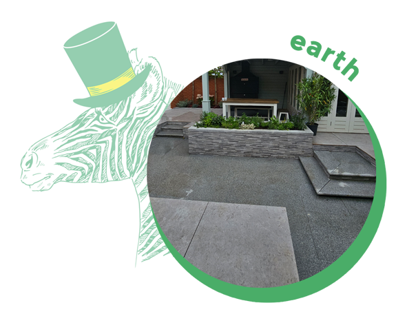 about-zebra-600×501