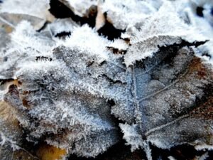 How to Prepare Your Garden Space for Winter in Surrey and Hampshire