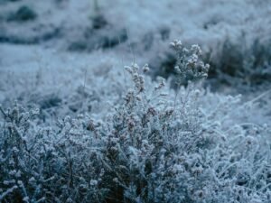 What time of year is best to design a garden?