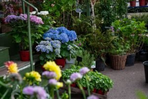 How to Choose the Right Plants for your Hampshire Garden