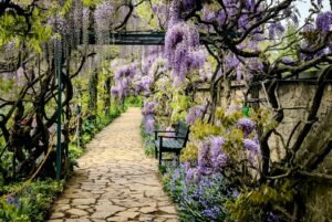 Smart Garden Design: Vertical Planting and Space-Saving Ideas for Hampshire Gardens