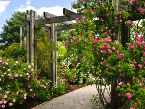 Small Garden Space, Big Ideas: Creative Design Tips for Urban Homes in Surrey and Hampshire