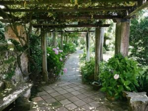 Landscaping Project Ideas to Enhance Rural Properties in Hampshire