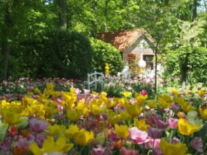 Designing a Dream Garden Over Winter: Why December is the Perfect Time to Get Creative