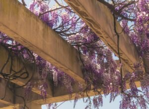 Why a Chunky Pergola Could Be the Best Investment for Your Surrey Garden